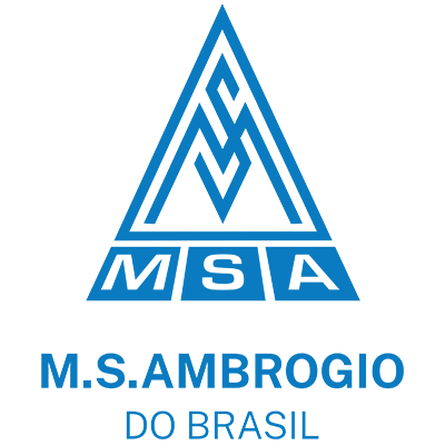 Logo MSA do Brasil